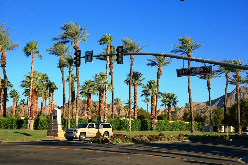 Palm trees and mountain light in Indian Wells